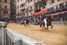 Palio Straordinario: la fotogallery delle Prove di Addestramento Mattutine